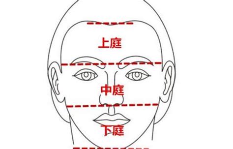 下庭飽滿|解讀下庭面相密碼